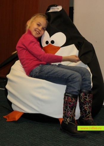Кресло Пингвин в Большой Ирбе - bolshaya-irba.mebel54.com | фото