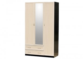 Шкаф для платья и белья 3-х дверный с профилем МДФ с 1 малым зеркалом Венге/Дуб выбеленный в Большой Ирбе - bolshaya-irba.mebel54.com | фото